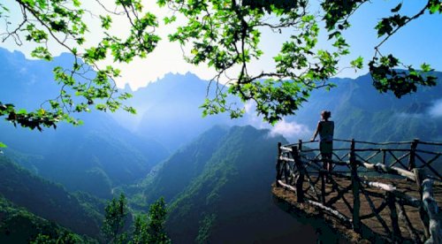 Beauty in Nature