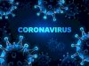 How does India's coronavirus growth curve compare to other countries?