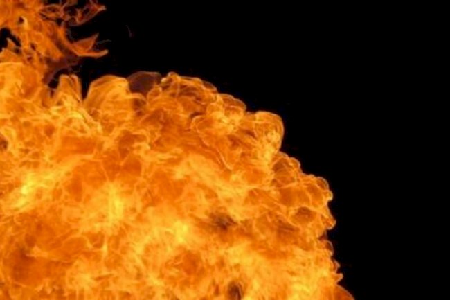 Tamil Nadu Fire: Forest fire erupts near Kodaikanal hills