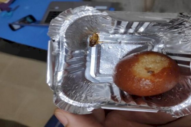 Karnataka: Dead cockroach in jamun bowl: Hotel ordered to pay Rs 55,000