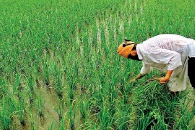 PM Kisan eKYC deadline extended: Check last date and step by step guide
