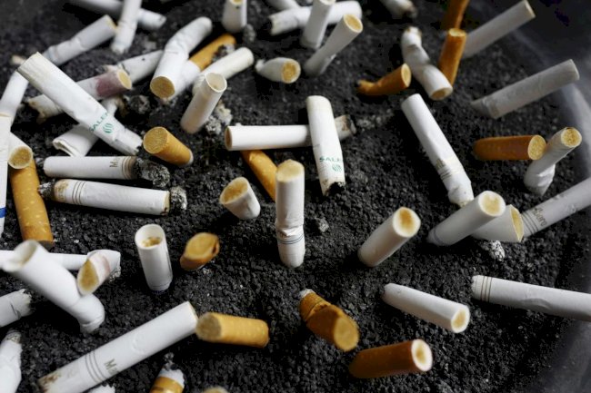 Dirty Secrets:- Did You Know that Tobacco Industry Destroy the Environment and Hides It