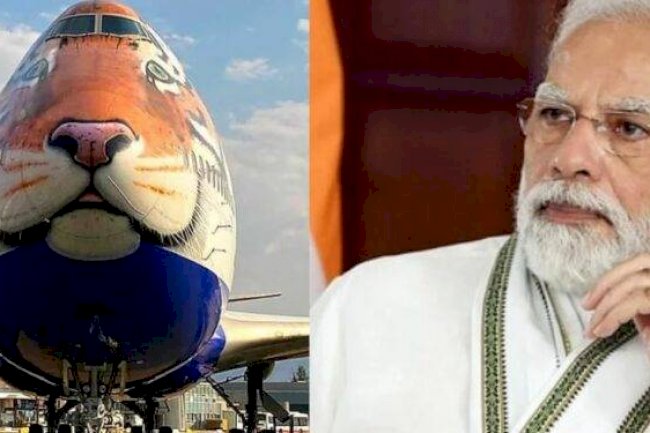 Special flight for 8 leopards ready to come to India on Narendra Modi’s birthday