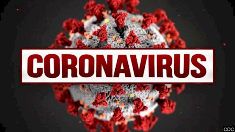 Lockdowns shouldn't be fully lifted until coronavirus vaccine found, new study warns