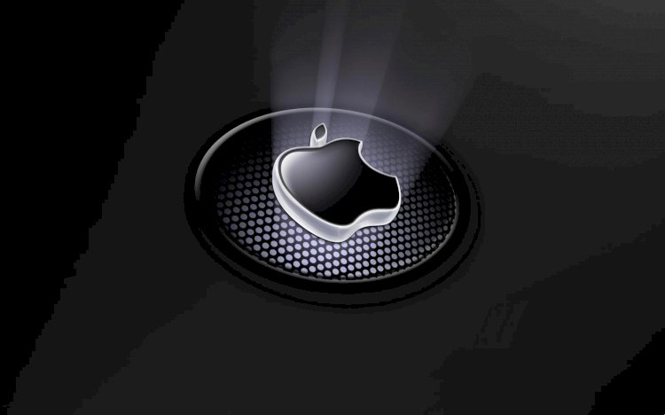 Apple iPhone assembler joins wave of tech investment in India