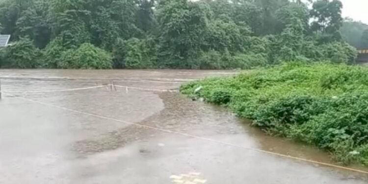 IMD issued Heavy Rainfall Alert in these states