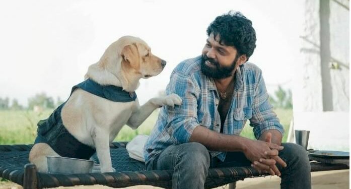Rakshit shetty ‘777 Charlie’: here is total box office collection