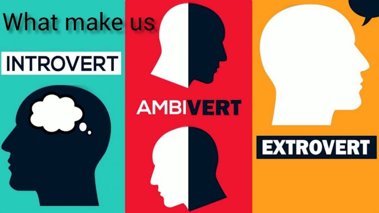 What makes us introverts, extroverts or ambiverts?