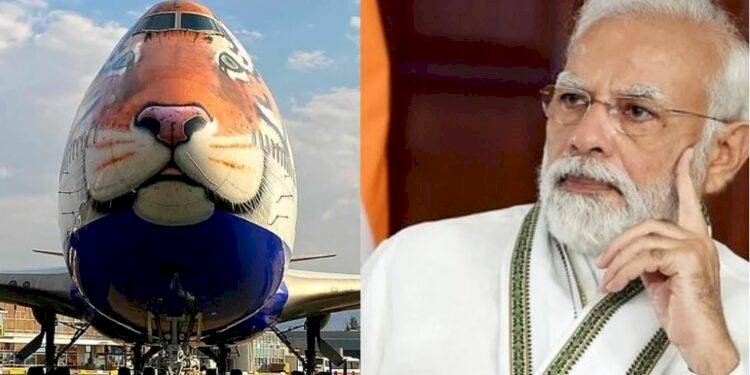 Special flight for 8 leopards ready to come to India on Narendra Modi’s birthday