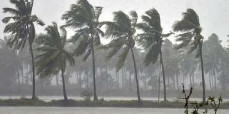 IMD issued heavy rainfall alert in these states, school holiday