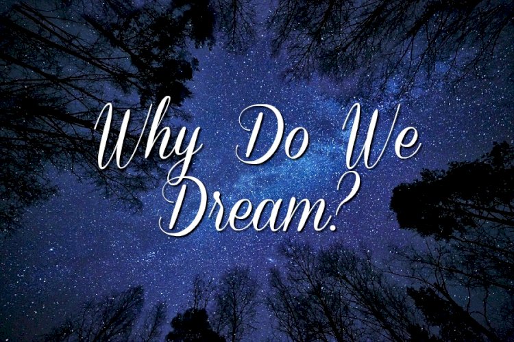 Why Do We Dream?